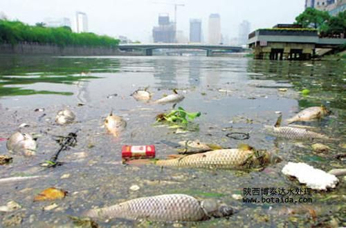 離子交換樹脂對污染如何進行處理？